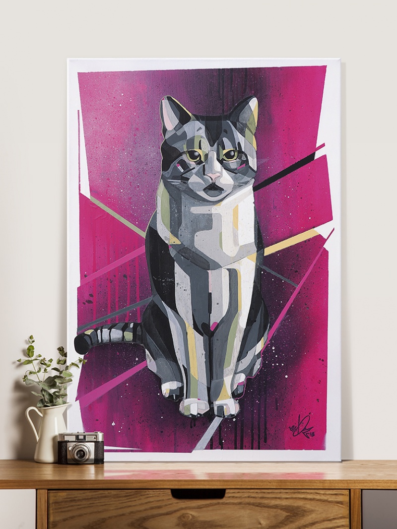 Kater Koks