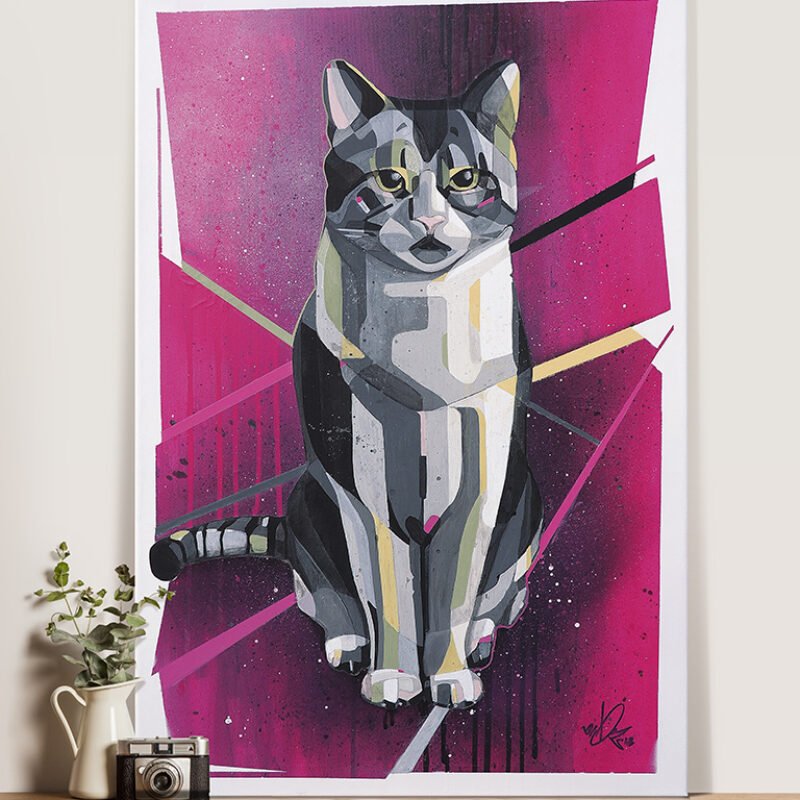 Kater Koks